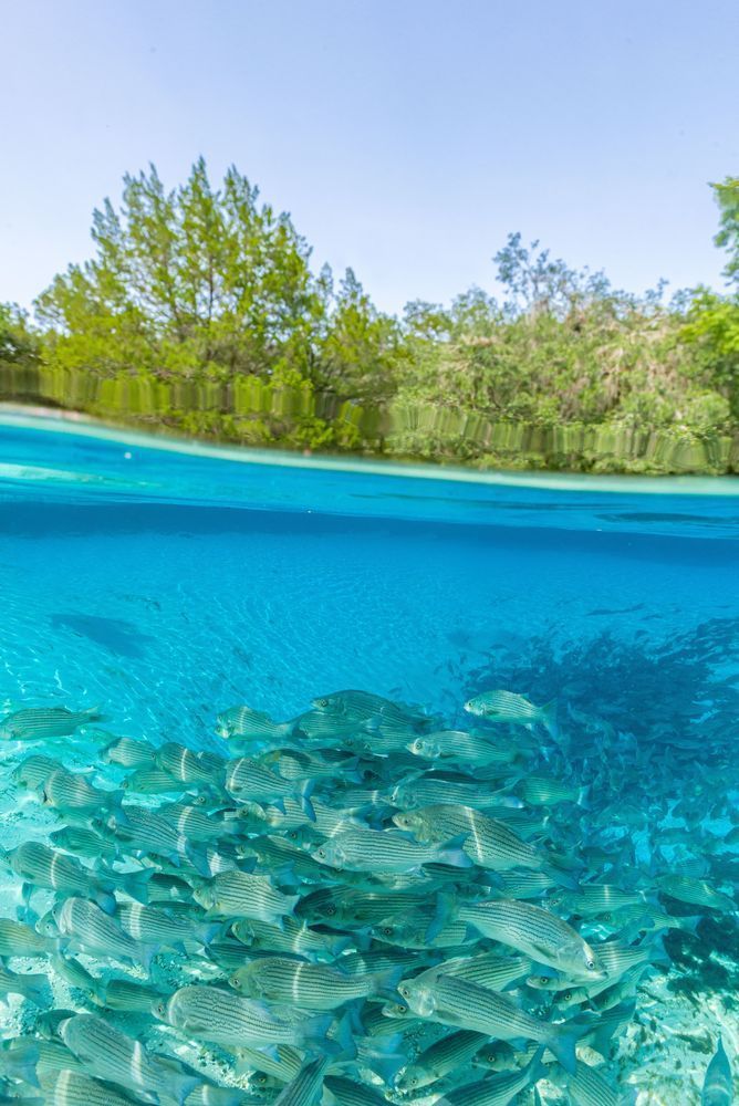 Bass Balance Photography Art | kramkranphoto