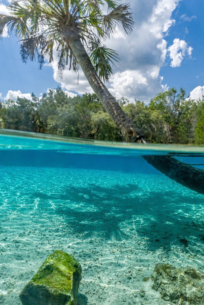 Paradise Photography Art | kramkranphoto