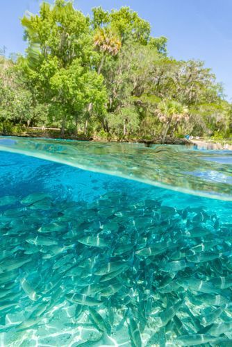 Mdawmdawmdawmdaw7qgraepd6cacehr zcfbfywxu2fyveayeunrgwctqqqltnerwweter6yomfiojy24adow ljj7f22f2vd2s3k0fn 38ezqodftc2xeuhdjufahdziomokxodj3hs jg da6ji5eudq olwagpj5emn5rfxgea8hom02ybhha frtgsbgzll26o4qsoqsrfizrcsr3u8jsrfgrot6eexxywqixpevzpp hboi8wf ebph5slzvshi2l9qtjlufrj6hyxdemfvqcqjtjphhtigrrrldeuj6hvlu gdv1ani9l6vivs2qsrahh5a8qtiqvnr5wpcty2