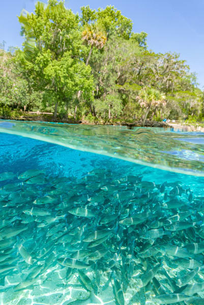 Sweetest Taboo Photography Art | kramkranphoto