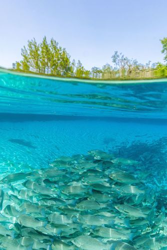 Mdawmdawmdawmdaw7qgraepd6cacehr zcfbfywxu2fyveayeunrgwctqqqltnerwweter6yomfiojy24adow ljj7f22f2vd2s3k0fn 38ezqodftc2xeuhdjufahdziomokxodj3hs jg da6ji5eudq olwagpj5emn5rfxgea8hom02ybhha frtgsbgzll26o4qsoqsrfifrdevz ebsbfgrot6eexxywskxpevzpp hboi8wf ebph5slzvshi2l9qtjlufrj6hyxdemfvqcqjtjphhtigrrrldeuj6hvlu gdv1ani9l6vivs2qtipwrakoyuhmz8ybluiymy