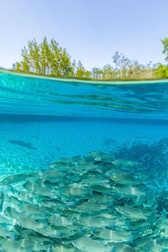 Silver Glen Blue Photography Art | kramkranphoto