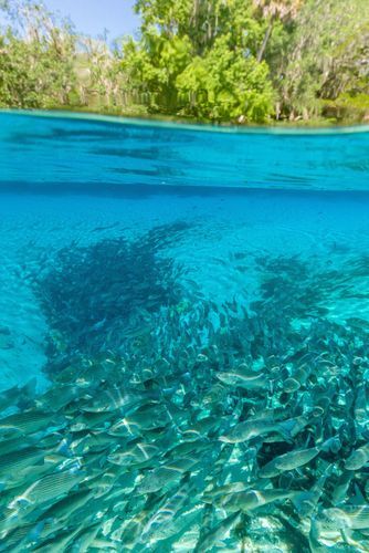 Mdawmdawmdawmdaw7qgraepd6cacehr zcfbfywxu2fyveayeunrgwctqqqltnerwweter6yomfiojy24adow ljj7f22f2vd2s3k0fn 38ezqodftc2xeuhdjufahdziomokxodj3hs jg da6ji5eudq olwagpj5emn5rfxgea8hom02ybhha frtgsbgzll26o4qsoqsrvicrdj9nqksghfgrot6eexxywscxpevzpp hboi8wf ebph5slzvshi2l9qtjlufrj6hyxdemfvqcqjtjphhtigrrrldeuj6hvlu gdv1ani9l6vivs2qtr49huqvp1crckxtkfa8av