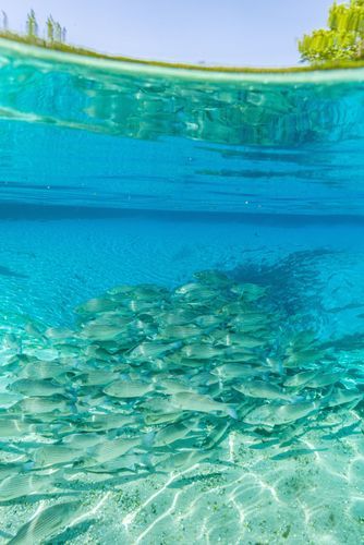 Mdawmdawmdawmdaw7qgraepd6cacehr zcfbfywxu2fyveayeunrgwctqqqltnerwweter6yomfiojy24adow ljj7f22f2vd2s3k0fn 38ezqodftc2xeuhdjufahdziomokxodj3hs jg da6ji5eudq olwagpj5emn5rfxgea8hom02ybhha frtgsbgzll26o4qsoqsrvifrdqgyvsyhhfgrot6eexxywsmxpevzpp hboi8wf ebph5slzvshi2l9qtjlufrj6hyxdemfvqcqjtjphhtigrrrldeuj6hvlu gdv1ani9l6vivs2qqccy98ejx v2riwhsmc cy