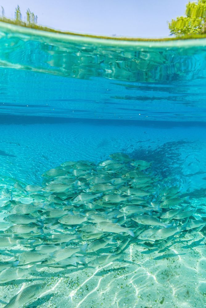 Into The Wild Blue Photography Art | kramkranphoto