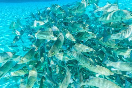 Mdawmdawmdawmdaw7qgraepd6cacehr zcfbfywxu2fyveayeunrgwctqqqltnerwweter6yomfiojy24adow ljj7f22f2vd2s3k0fn 38ezqodftc2xeuhdjufahdziomokxodj3hs jg da6ji5eudq olwagpj5emn5rfxgea8hom02ybhha frtgsbgzll26o4qsp6mroh1gyqr0olmaq9nqox f b3y2ovgo24if3xshwb brrckd 6txuuydviaclbmavba9l153bxsrrrdffudqni9susggzbeom6glrbuyor0xho93 vmhy cgmlbjv6sgjyqfdntxmafq