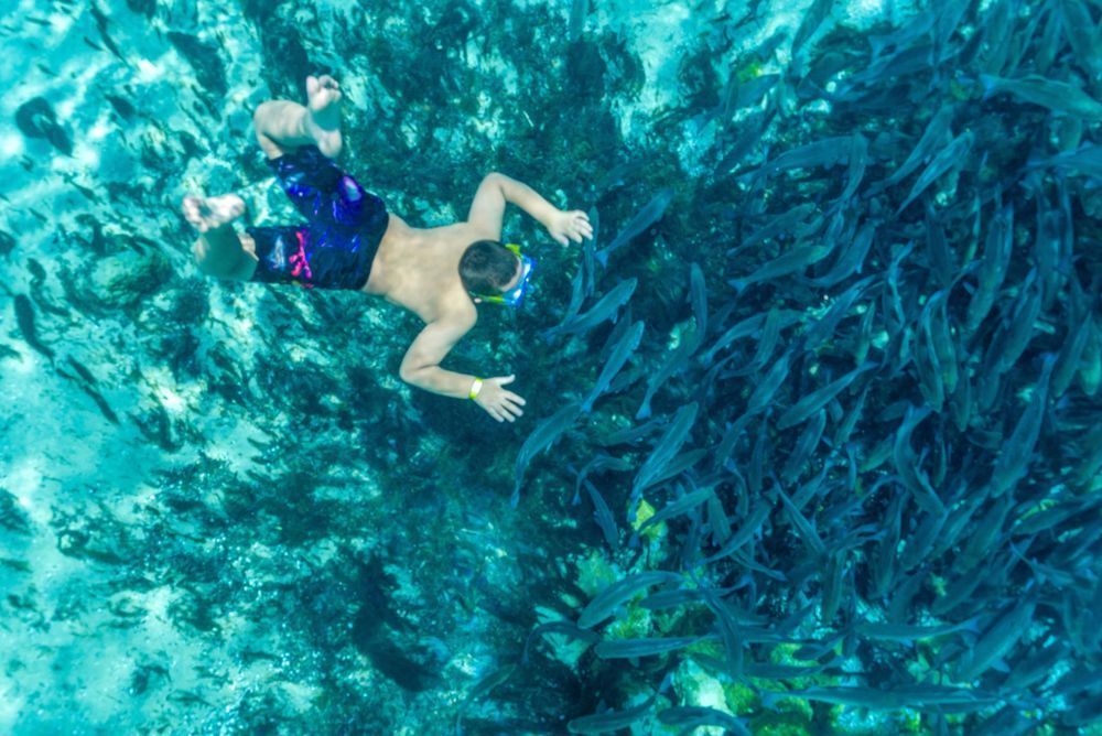 Exploring The Depths Photography Art | kramkranphoto