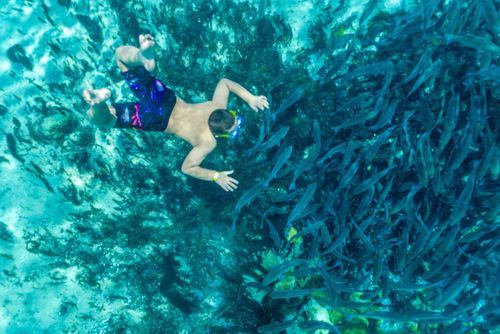 Mdawmdawmdawmdaw7qgraepd6cacehr zcfbfywxu2fyveayeunrgwctqqqltnerwweter6yomfiojy24adow ljj7f22f2vd2s3k0fn 38ezqodftc2xeuhdjufahdziomokxodj3hs jg da6ji5eudq olwagpj5emn5rfxgea8hom02ybhha frtgsbgzll26o4qsp6oqod1htt52q0xaq9nqox f b3ywavgo24if3xshwb brrckd 6txuuydviaclbmavba9l153bxsrrrdffudqni9susggzbeom6glrbuyor0xho93 vmhy f3voet9be3h3xfwvrgazb0