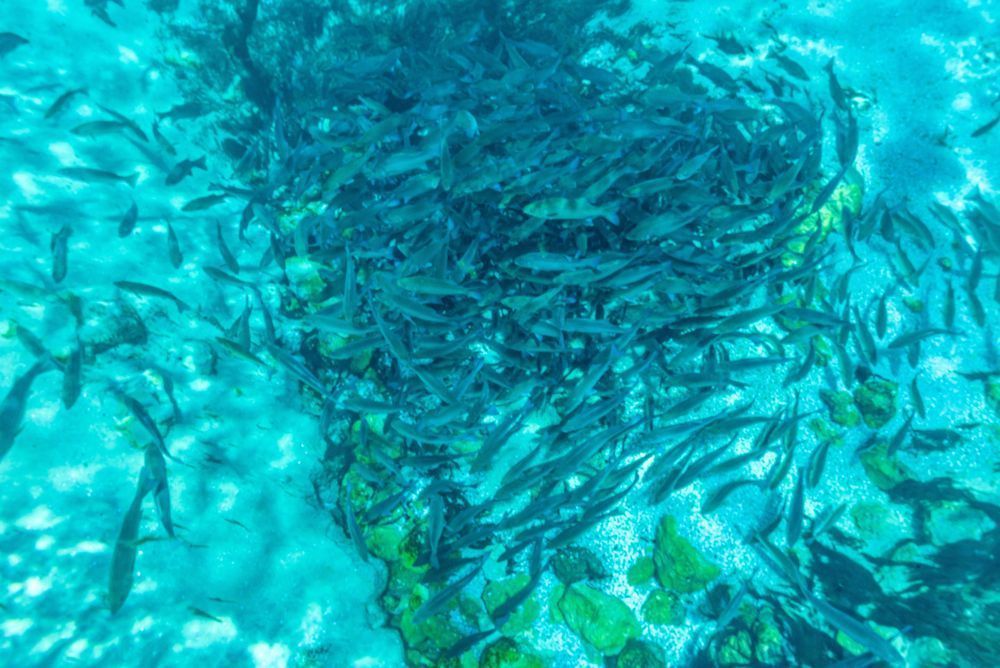 The Heart Of Silver Glen Springs Photography Art | kramkranphoto