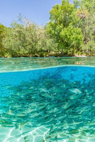 Mdawmdawmdawmdaw7qgraepd6cacehr zcfbfywxu2fyveayeunrgwctqqqltnerwweter6yomfiojy24adow ljj7f22f2vd2s3k0fn 38ezqodftc2xeuhdjufahdziomokxodj3hs jg da6ji5eudq olwagpj5emn5rfxgea8hom02ybhha frtgsbgzll26o4qsp6pq 51i9am2akoaq9nqox f b3ymqvgo24if3xshwb brrckd 6txuuydviaclbmavba9l153bxsrrrdffudqni9susggzbeom6glrbuyor0xho93 vmhy c1c7ejehcaq644lalrwkpq