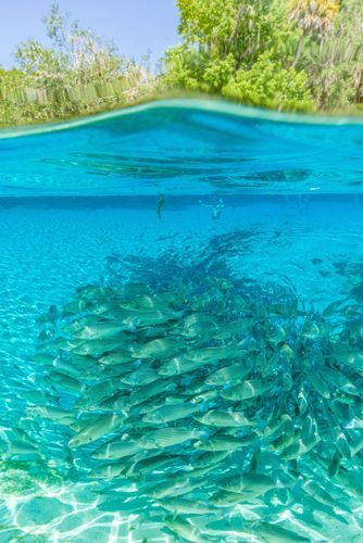 Mdawmdawmdawmdaw7qgraepd6cacehr zcfbfywxu2fyveayeunrgwctqqqltnerwweter6yomfiojy24adow ljj7f22f2vd2s3k0fn 38ezqodftc2xeuhdjufahdziomokxodj3hs jg da6ji5eudq olwagpj5emn5rfxgea8hom02ybhha frtgsbgzll26o4qsp6ptex1gyerxvbmaq9nqox f b3y2uvgo24if3xshwb brrckd 6txuuydviaclbmavba9l153bxsrrrdffudqni9susggzbeom6glrbuyor0xho93 vmhy wsytnfbm4ww2hapy36oa6k