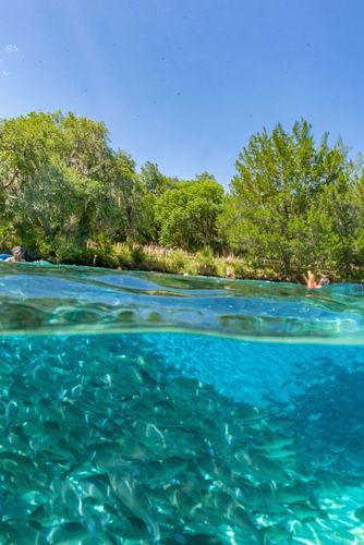 Mdawmdawmdawmdaw7qgraepd6cacehr zcfbfywxu2fyveayeunrgwctqqqltnerwweter6yomfiojy24adow ljj7f22f2vd2s3k0fn 38ezqodftc2xeuhdjufahdziomokxodj3hs jg da6ji5eudq olwagpj5emn5rfxgea8hom02ybhha frtgsbgzll26o4qsp6qteh1imz43q0naq9nqox f b2wgcvgo24if3xshwb brrckd 6txuuydviaclbmavba9l153bxsrrrdffudqni9susggzbeom6glrbuyor0xho93 vmhy b2wy8bbekltjsl7zw3j9va