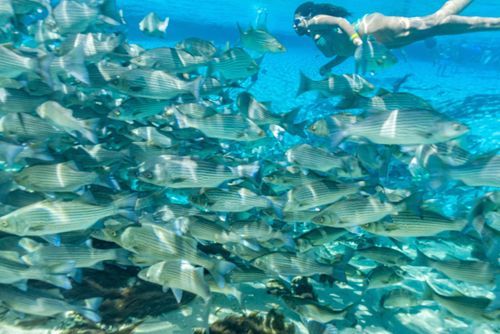 Mdawmdawmdawmdaw7qgraepd6cacehr zcfbfywxu2fyveayeunrgwctqqqltnerwweter6yomfiojy24adow ljj7f22f2vd2s3k0fn 38ezqodftc2xeuhdjufahdziomokxodj3hs jg da6ji5eudq olwagpj5emn5rfxgea8hom02ybhha frtgsbgzll26o4qsp6rruz1ltan3pqoaq9nqox f b2wwqvgo24if3xshwb brrckd 6txuuydviaclbmavba9l153bxsrrrdffudqni9susggzbeom6glrbuyor0xho93 vmhy v7w6l4osrwyq1shrh pweq