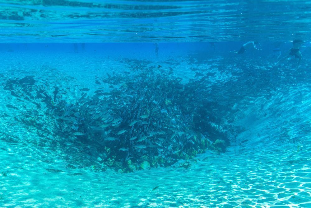 The Hole Of Silver Glen Springs Photography Art | kramkranphoto