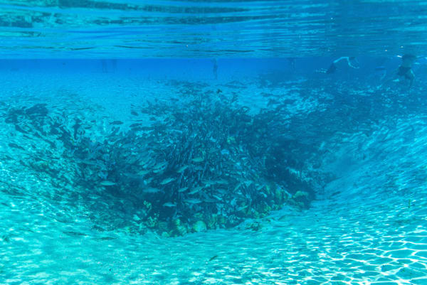 The Hole Of Silver Glen Springs Photography Art | kramkranphoto