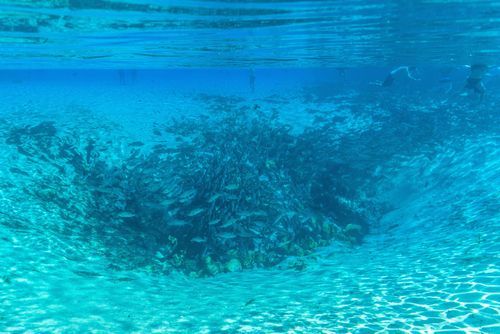 Mdawmdawmdawmdaw7qgraepd6cacehr zcfbfywxu2fyveayeunrgwctqqqltnerwweter6yomfiojy24adow ljj7f22f2vd2s3k0fn 38ezqodftc2xeuhdjufahdziomokxodj3hs jg da6ji5eudq olwagpj5emn5rfxgea8hom02ybhha frtgsbgzll26o4qsperqo11nosox auaq9nqox f b2zmyvgo24if3xshwb brrckd 6txuuydviaclbmavba9l153bxsrrrdffudqni9susggzbeom6glrbuyor0xho93 vmhy cthocyg53pz1uf9v m5a y