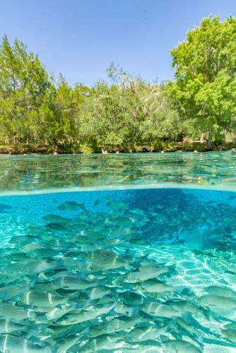 Mdawmdawmdawmdaw7qgraepd6cacehr zcfbfywxu2fyveayeunrgwctqqqltnerwweter6yomfiojy24adow ljj7f22f2vd2s3k0fn 38ezqodftc2xeuhdjufahdziomokxodj3hs jg da6ji5eudq olwagpj5emn5rfxgea8hom02ybhha frtgsbgzll26o4qspesqez1imul36wbaq9nqox f bwzmmvgo24if3xshwb brrckd 6txuuydviaclbmavba9l153bxsrrrdffudqni9susggzbeom6glrbuyor0xho93 vmhy yrwaith rk7wd8g3easuve