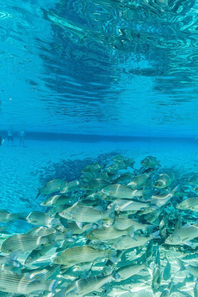 Underwater Adventures Photography Art | kramkranphoto