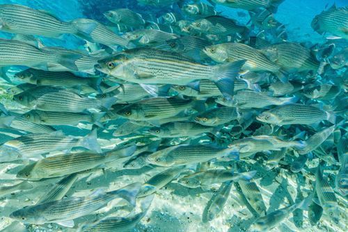 Mdawmdawmdawmdaw7qgraepd6cacehr zcfbfywxu2fyveayeunrgwctqqqltnerwweter6yomfiojy24adow ljj7f22f2vd2s3k0fn 38ezqodftc2xeuhdjufahdziomokxodj3hs jg da6ji5eudq olwagpj5emn5rfxgea8hom02ybhha frtgsbgzll26o4qspeste91hscm3pcfaq9nqox f b2y2avgo24if3xshwb brrckd 6txuuydviaclbmavba9l153bxsrrrdffudqni9susggzbeom6glrbuyor0xho93 vmhy ab04w38ywfjbz3i1zbahtu