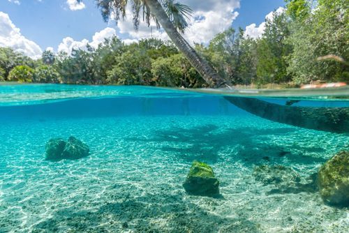 Mdawmdawmdawmdaw7qgraepd6cacehr zcfbfywxu2fyveayeunrgwctqqqltnerwweter6yomfiojy24adow ljj7f22f2vd2s3k0fn 38ezqodftc2xeuhdjufahdziomokxodj3hs jg da6ji5eudq olwagpj5emn5rfxgea8hom02ybhha frtgsbgzll26o4qspeurul1gn0v3 4xaq9nqox f bwymivgo24if3xshwb brrckd 6txuuydviaclbmavba9l153bxsrrrdffudqni9susggzbeom6glrbuyor0xho93 vmhy zfkmkoeax0io 24dtckwli