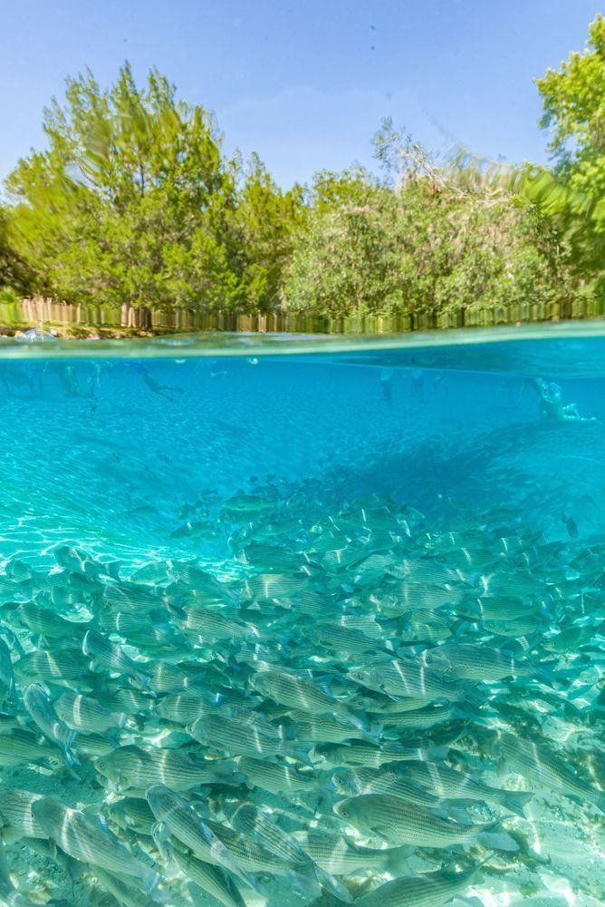 Smooth Operator Photography Art | kramkranphoto