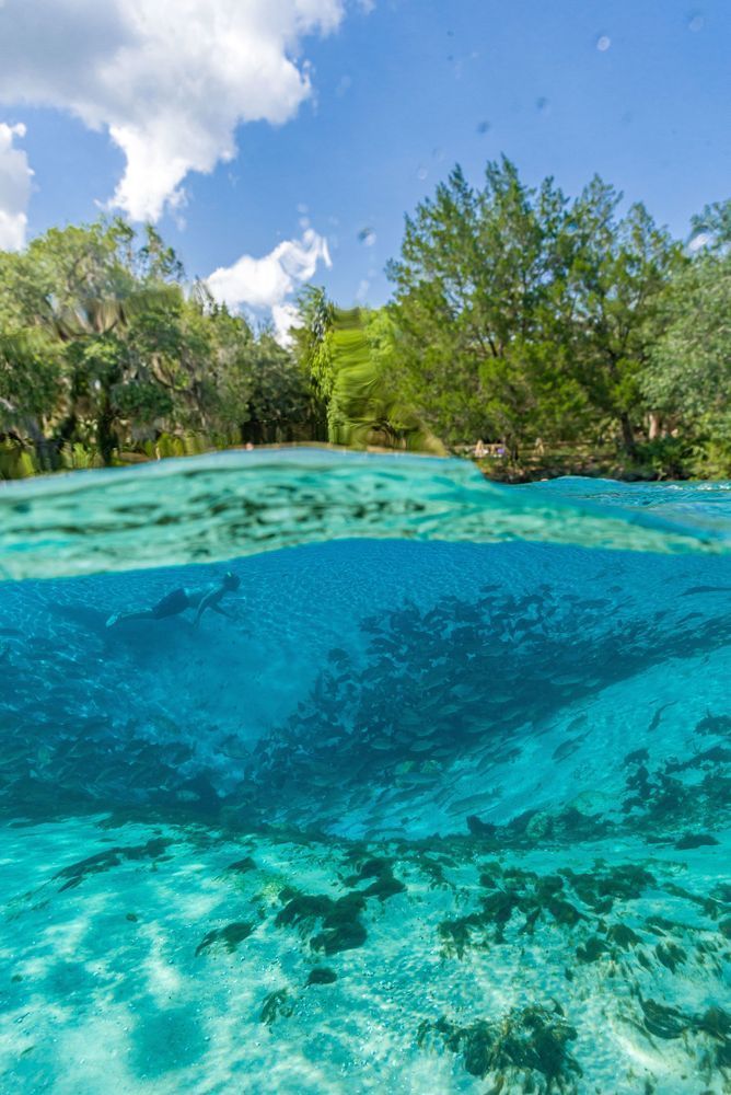 The Blue Hole Silver Glen Springs Photography Art | kramkranphoto