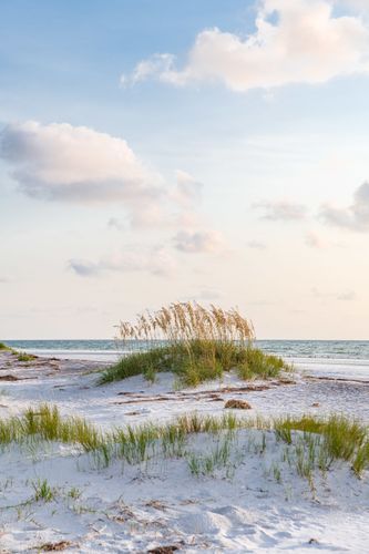 Mdawmdawmdawmdaw7qgraepd6cacehr zcfbfywxu2fyveayeunrgwctqqqltnerwweter6yomfiojy24adow ljj7f22f2vd2s3k0fn 38ezqodftc2xeuhdjufahdziomokxodj3hs jg da6ji5eudq olwagpj5emn5sw1chuf30f2k6aarj1ffrfcxgb5fu8yuealx7grxprfco0mzlawdkqoowvbunittxxazpmebqb1xmol6jdav0qyqlsdzhxe42ejahfxr8msmkejdnvmge5nkvzifrthv8pqs09gchfoyns1bho93 vjkn8xb3hovjsagdrep9rhkgs0qmbvukfqmhc7gavkg