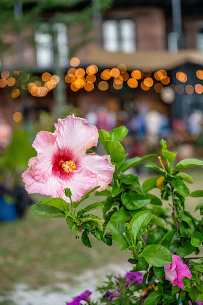 Palatka Main Street 4 22 2024 2877 Photography Art | kramkranphoto