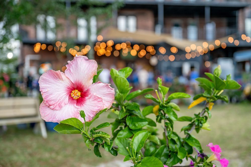 Palatka Main Street 4 22 2024 2862 Photography Art | kramkranphoto