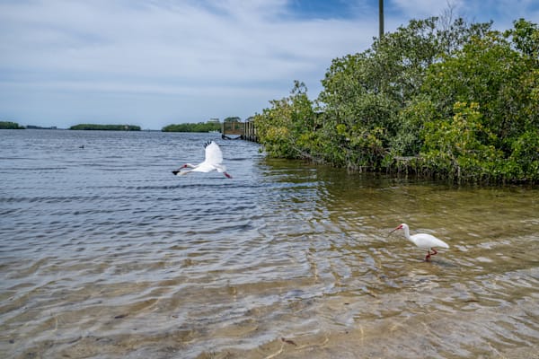 Palm Harbor Main Street 4 1 2024 2119 Photography Art | kramkranphoto