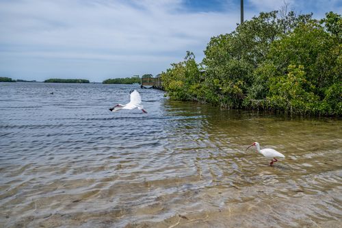 Mdawmdawmdawmdaw7qgraepd6cacehr zcfbfywxu2fyveayeunrgwctqqqltnerwweter6yomfiojy24adow ljj7f22f2vd2s3k0fn 38ezqodftc2xeuhdjufahdziomokxodj3hs jg da6ji5eudq olwagpj5emn5sdxgfufvwel fdslw68zwkbdxzkty6rrwspazru8yxp57mkhgcvtiql6kvvrzz2ic3ktoo jjeaqk9uuhpafh6sz0wihuxvwkfo0ibuivrtzbud9txwhhtnomg9s9afazp7p vu09u7vf6xrji5 m6mfhpkmmwl08l0k14gafsqeklftpdr2h0 pi