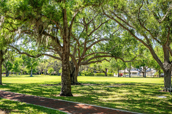 Palmetto Main Street 3 29 2024 6721 Photography Art | kramkranphoto