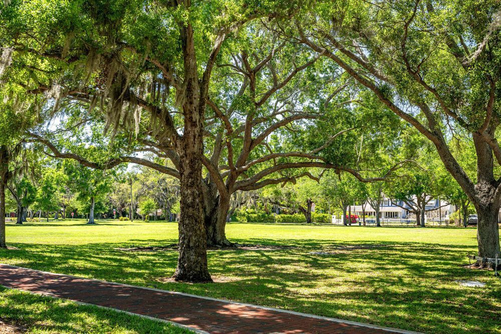 Palmetto Main Street 3 29 2024 6721 Photography Art | kramkranphoto
