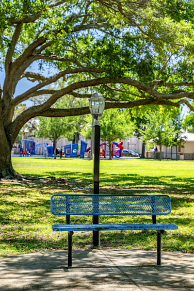 Palmetto Main Street 3 29 2024 6746 Photography Art | kramkranphoto