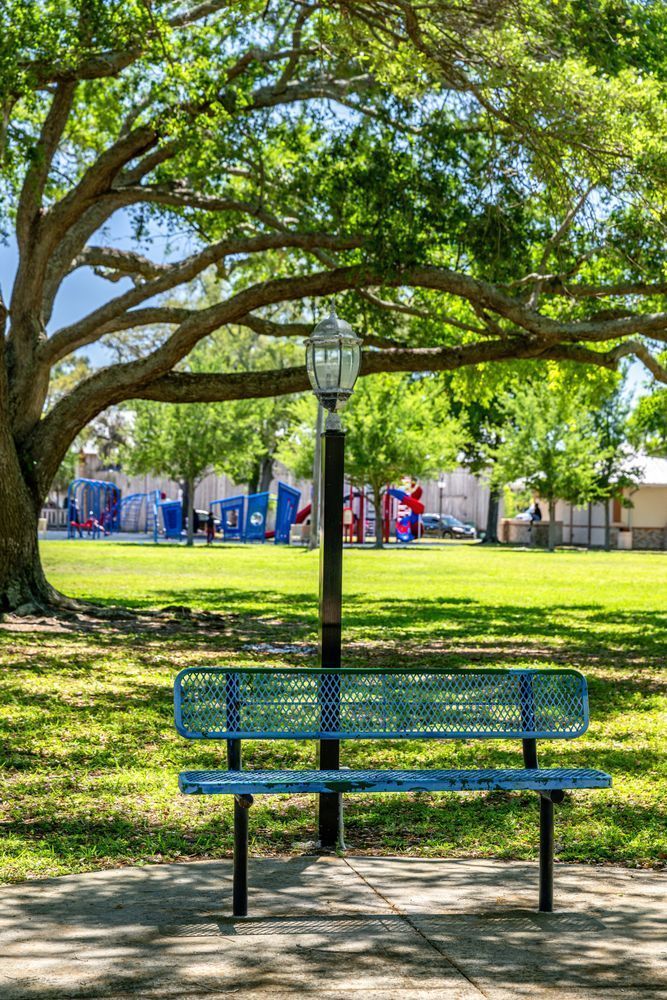 Palmetto Main Street 3 29 2024 6746 Photography Art | kramkranphoto