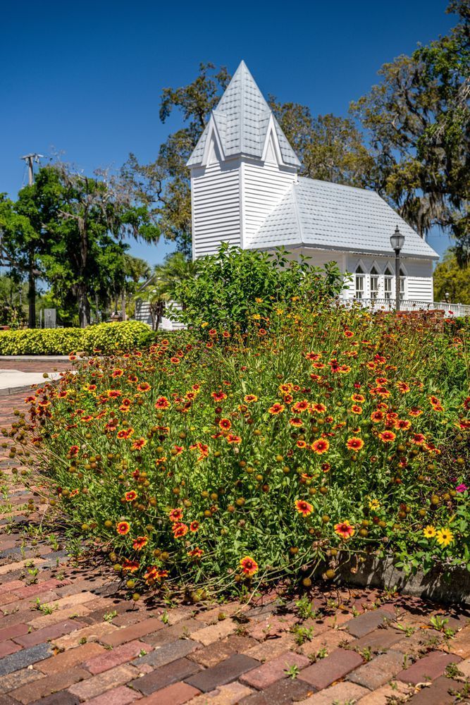Palmetto Main Street 3 29 2024 6959 Photography Art | kramkranphoto