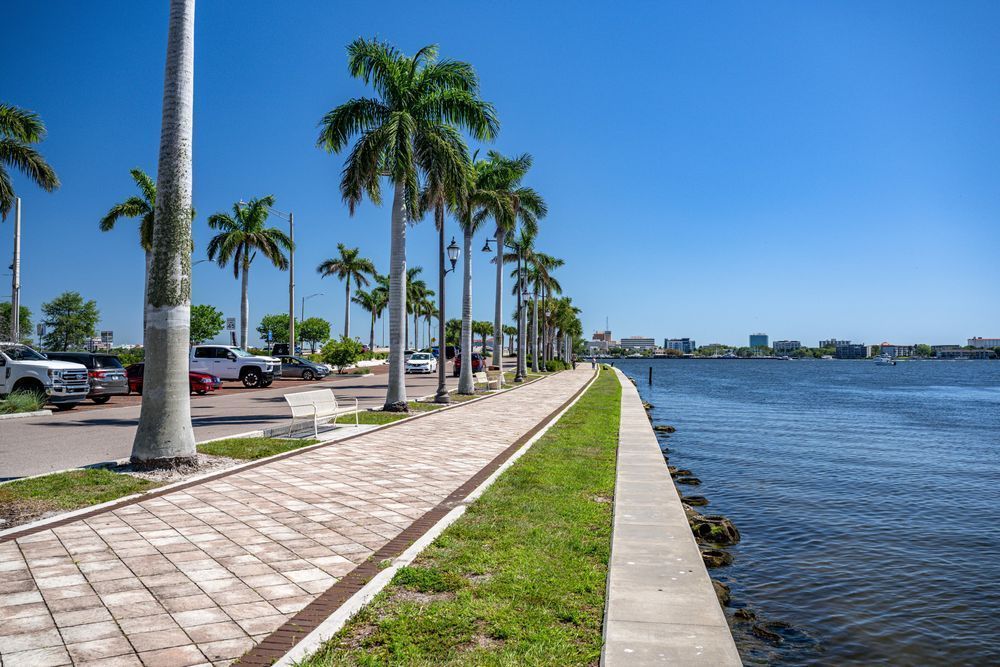 Palmetto Main Street 3 29 2024 7304 Photography Art | kramkranphoto