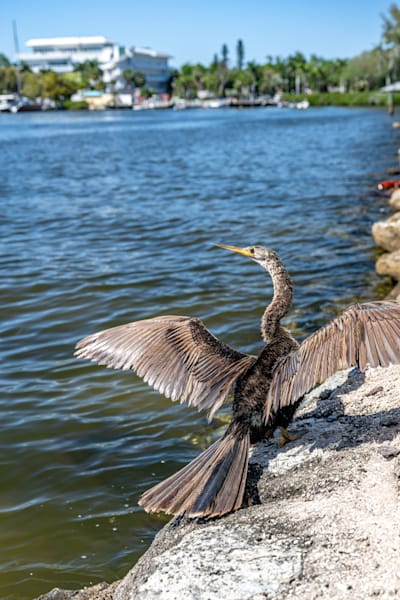 Palmetto Main Street 3 29 2024 7411 Photography Art | kramkranphoto