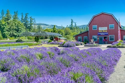 Mdawmdawmdawmdaw7qgraepd6cacehr zcfbfywxu2fyveayeunrgwctqqqltnerwweter6yomfiojy24adow ljj7f22f2vd2s3k0fn 38ezqodftc2xeuhdjufahdziomokxodj3hs jg da6ji5eudq olwagpj5emn5se2 guf kbfgfcfsov5cpkcj9fkgu 8rtu wrqeydx4p h mpsrx9ukk7rruxnjxjh yrar69tuxayrkvfkd8 4o9hilpxvqknc5uhgv8ks nejcjhxprtmemismhaeykz 9rh1gi4u8pl2yioqz1b23ods6t