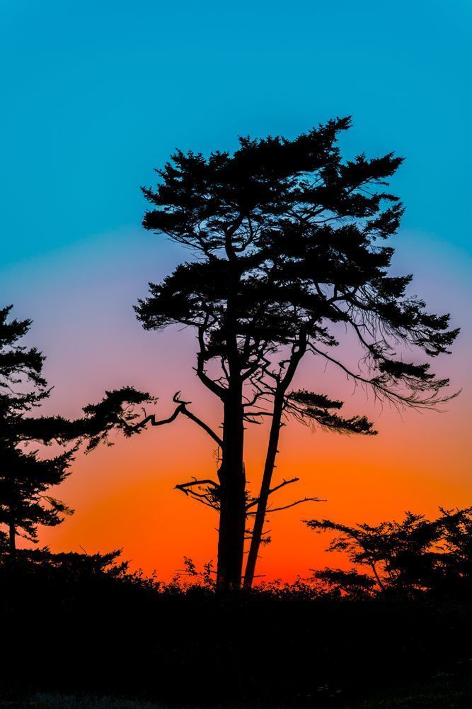Silhouette Theater Photography Art | kramkranphoto