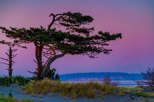 Mdawmdawmdawmdaw7qgraepd6cacehr zcfbfywxu2fyveayeunrgwctqqqltnerwweter6yomfiojy24adow ljj7f22f2vd2s3k0fn 38ezqodftc2xeuhdjufahdziomokxodj3hs jg da6ji5eudq olwagpj5emn5se2 guf kbfgfcfsovjobkcxwd7x58crtu wrqeydxin6h mpsrx9ukk7rruxnjxjh yrar69tuxayrkvfkd8 4o9hilpxvqknc5uhgv8ks nejcjhxprtmemismhaeykz 9rh1grtngtexkr0l mbws0tii3