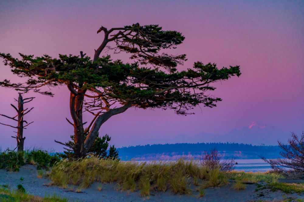 West Coast Wonders Photography Art | kramkranphoto