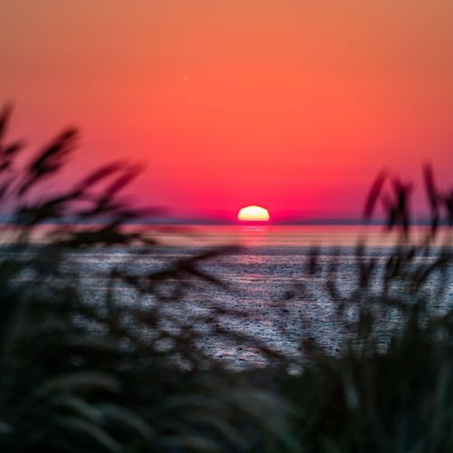 Mdawmdawmdawmdaw7qgraepd6cacehr zcfbfywxu2fyveayeunrgwctqqqltnerwweter6yomfiojy24adow ljj7f22f2vd2s3k0fn 38ezqodftc2xeuhdjufahdziomokxodj3hs jg da6ji5eudq olwagpj5emn5se2 guf kbfgfcfsovzcmkchtdpx0 mrtu wrqeydxif5h mpsrx9ukk7rruxnjxjh yrar69tuxayrkvfkd8 4o9hilpxvqknc5uhgv8ks nejcjhxprtmemismhaeykz 9rh1gqeb58xkt6ro7iz42p18pl