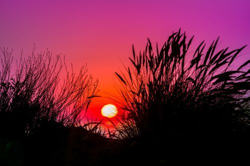 Mdawmdawmdawmdaw7qgraepd6cacehr zcfbfywxu2fyveayeunrgwctqqqltnerwweter6yomfiojy24adow ljj7f22f2vd2s3k0fn 38ezqodftc2xeuhdjufahdziomokxodj3hs jg da6ji5eudq olwagpj5emn5se2 guf kbfgfcfsovzenkcnyikr 5mrtu wrqeydx4pwh mpsrx9ukk7rruxnjxjh yrar69tuxayrkvfkd8 4o9hilpxvqknc5uhgv8ks nejcjhxprtmemismhaeykz 9rh1jxz8tjtjz8e2npdpsrx4bq