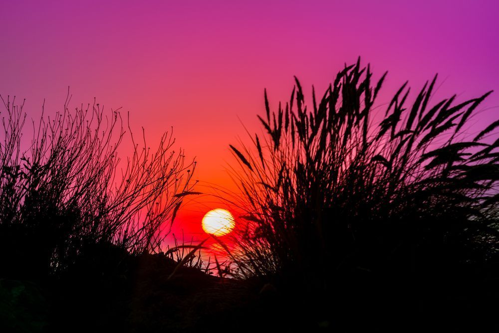 Into The Sea Photography Art | kramkranphoto