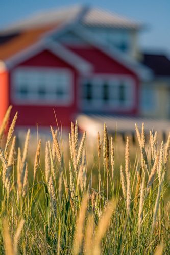 Mdawmdawmdawmdaw7qgraepd6cacehr zcfbfywxu2fyveayeunrgwctqqqltnerwweter6yomfiojy24adow ljj7f22f2vd2s3k0fn 38ezqodftc2xeuhdjufahdziomokxodj3hs jg da6ji5eudq olwagpj5emn5se2 guf kbfgfcfspvzsikczzffdk7mrtu wrqeydx4t8h mpsrx9ukk7rruxnjxjh yrar69tuxayrkvfkd8 4o9hilpxvqknc5uhgv8ks nejcjhxprtmemismhaeykz 9rh1hkuxitwhp9rgdjbxd4fv0y