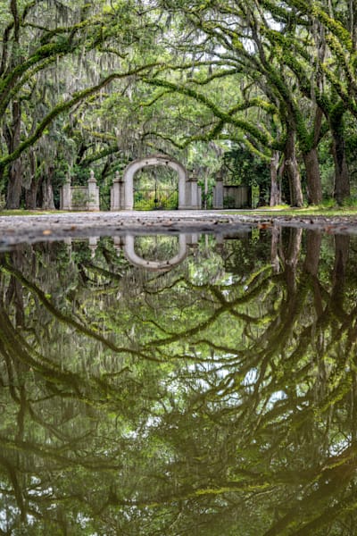 Reflecting Of The Gates Of Wormsloe Photography Art | kramkranphoto