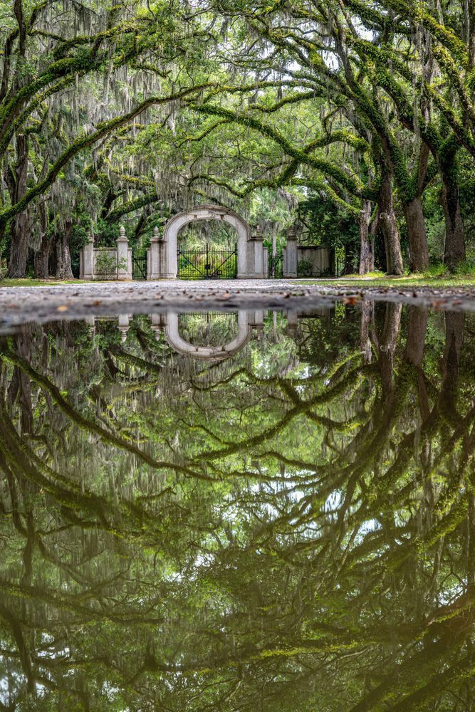 Reflecting Of The Gates Of Wormsloe Photography Art | kramkranphoto