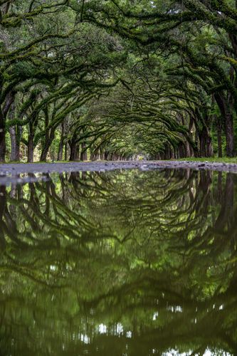 Mdawmdawmdawmdaw7qgraepd6cacehr zcfbfywxu2fyveayeunrgwctqqqltnerwweter6yomfiojy24adow ljj7f22f2vd2s3k0fn 38ezqodftc2xeuhdjufahdziomokxodj3hs jg da6ji5eudq olwagpj5emn5ve2 ffd  bwk4yhbr78bmhitrzzfe 50dc6n hiabwuwwwegdf1b q h9hu3zymuo27o1c7bxekwo4ajjbln8 cvmscfjxe5ylbk3vannmtfbci9qrc6u4drjznwssxt5i 0s7xv5xa0dskaracr1uyuf srus23a7padflnhd3zroulm3q