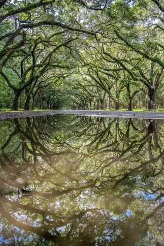 Mdawmdawmdawmdaw7qgraepd6cacehr zcfbfywxu2fyveayeunrgwctqqqltnerwweter6yomfiojy24adow ljj7f22f2vd2s3k0fn 38ezqodftc2xeuhdjufahdziomokxodj3hs jg da6ji5eudq olwagpj5emn5ve2 ffd  bwkibgvj5dfrfbtwf7pywbgde6bwgr5cryvknlrnhgxkt swu zyljkdxazon jrd1xnol6jdav0qyqlsdzhxe42ejahfxr8msmkejdnvmge5nkvzifrthv8pqs09gchfoyns1bho93 vjkn8xb3hovjsagdrep9rgb1fwpgdtfbpwb34htxako